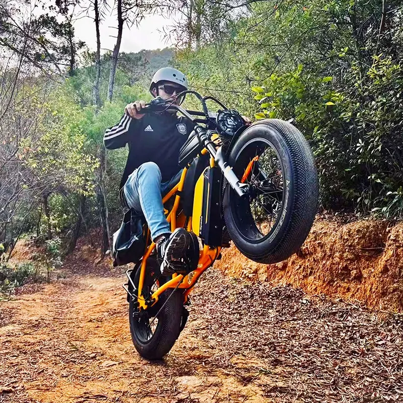Marca Aspadz en bicicleta eléctrica fatbike A-Spadz Cavet Air 250W todoterreno