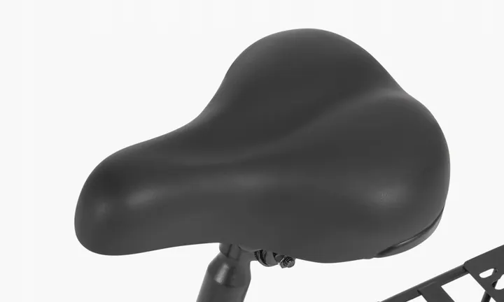 DYU A1F PRO Bicicleta Eléctrica Plegable image 12