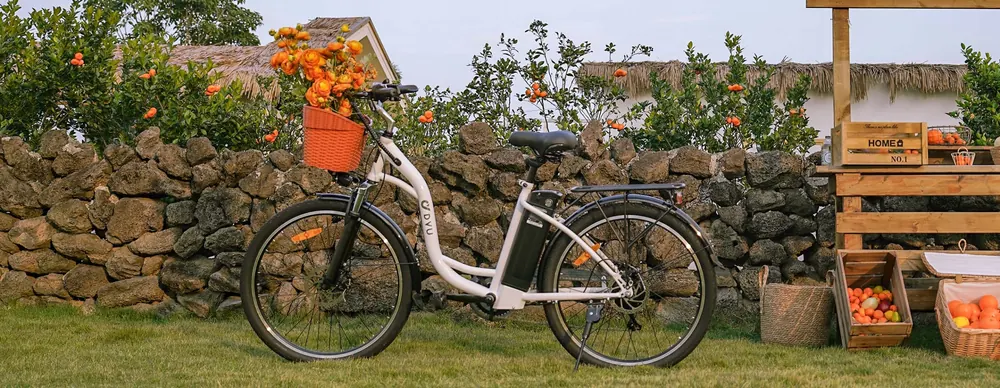 Bicicleta eléctrica DYU C6 recomendada para usuarios de 165 a 175 cm