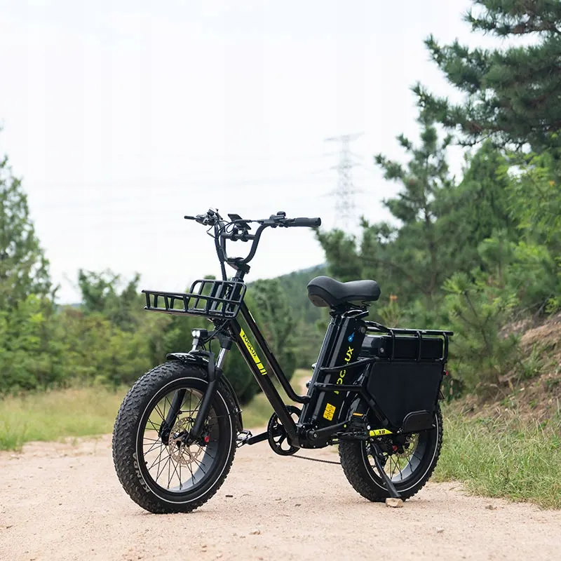Bicicleta eléctrica 1000W 48V65Ah con tamaño de marco L para mayor comodidad.