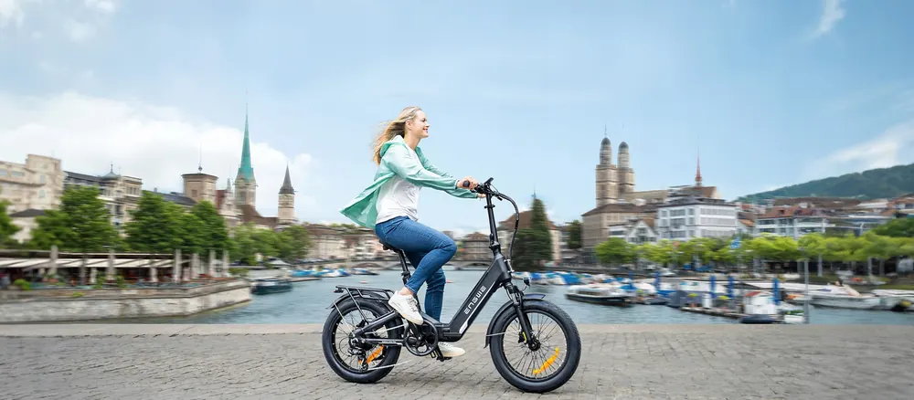ENGWE L20 3.0 Boost Bicicleta Eléctrica Plegable image 5