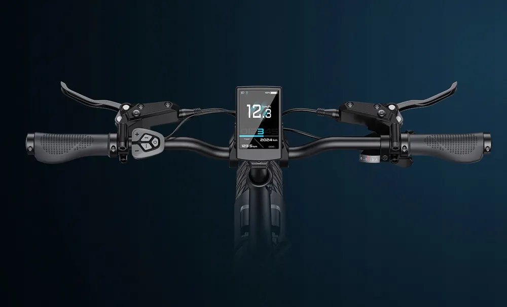 Ruedas de 20 pulgadas de la bicicleta eléctrica ENGWE L20 3.0 Boost