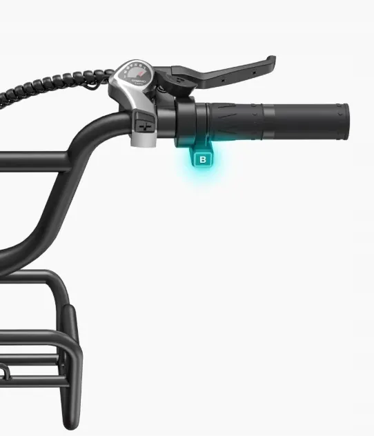 Rueda de 20 pulgadas de la bicicleta eléctrica ENGWE L20 Boost