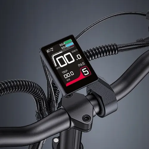 Bicicleta eléctrica ENGWE LE20 doble batería con peso de 36.75 kg.