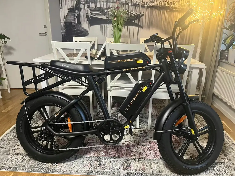 ENGWE M20 Bicicleta Eléctrica Dual image 3