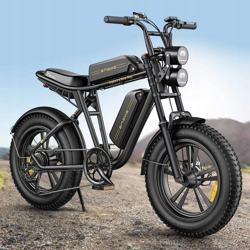 ENGWE M20 Bicicleta Eléctrica Dual image 7