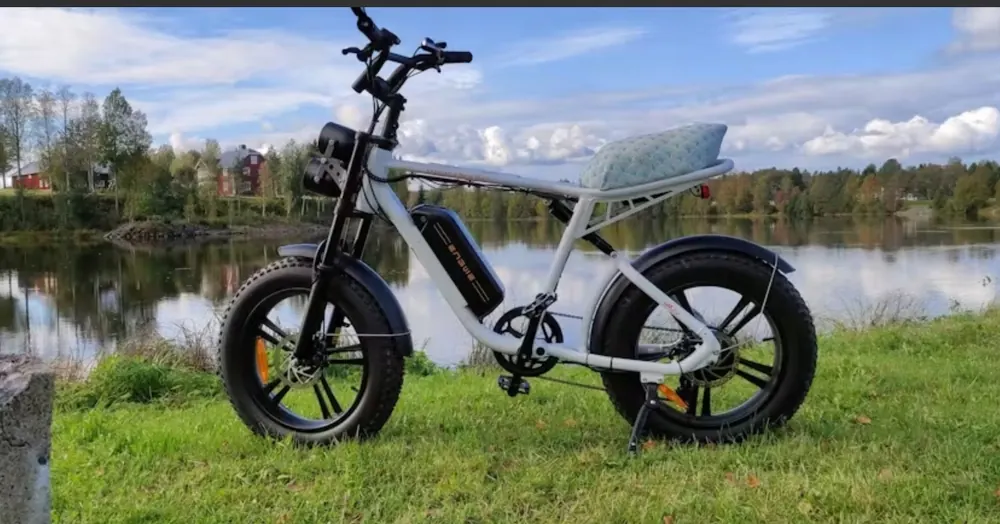ENGWE M20 Bicicleta Eléctrica Fat Tire image 9