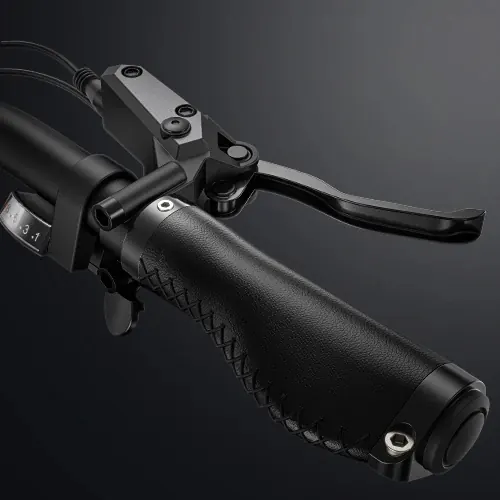 Rueda de 26 pulgadas de la bicicleta eléctrica ENGWE X26