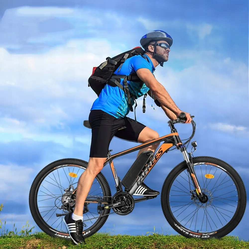 Bicicleta eléctrica FAFREES Hailong One 250W con ciclista de 160-195 cm