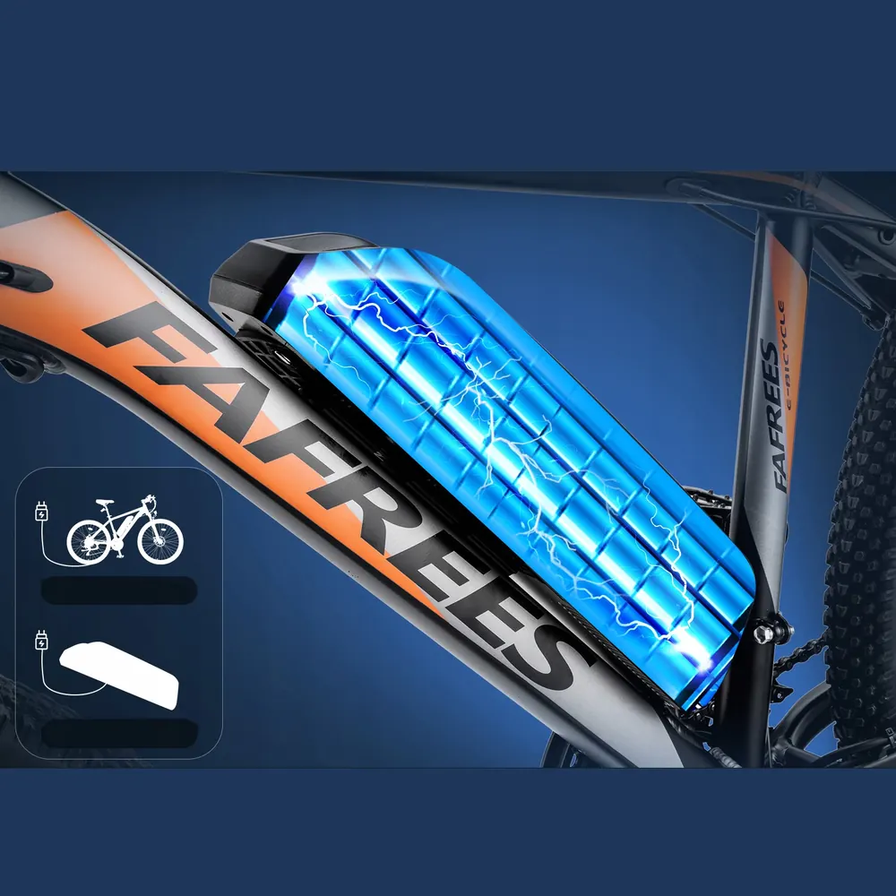 Motor de 250W en la bicicleta eléctrica FAFREES Hailong One