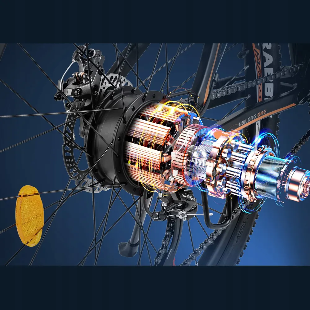 Rueda de 26 pulgadas de la bicicleta eléctrica FAFREES Hailong One