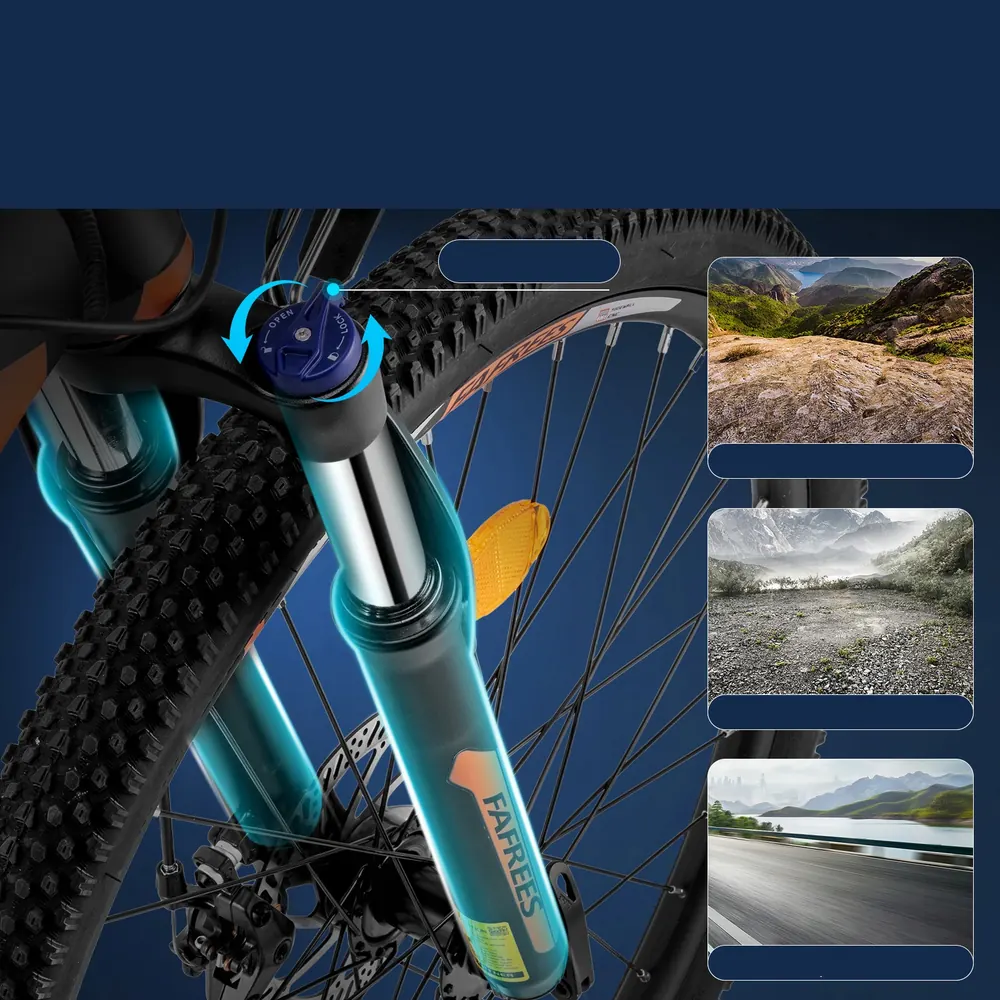 Carga máxima de 120 kg en la bicicleta eléctrica FAFREES Hailong One
