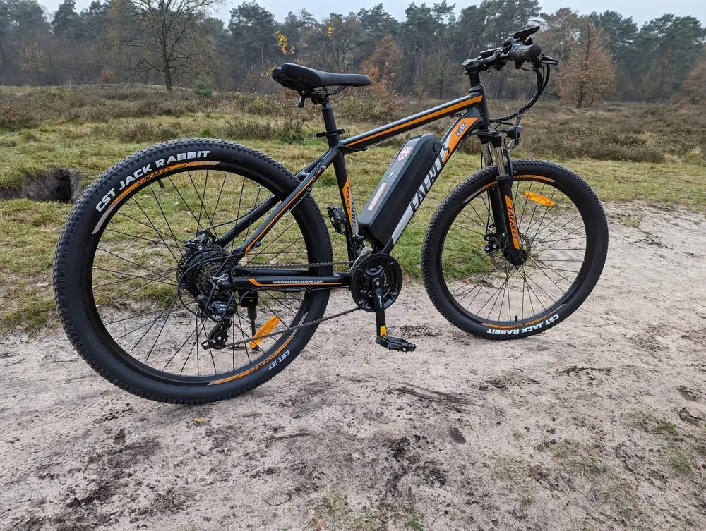 FAFREES F28 Bicicleta Eléctrica MTB image 14