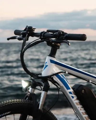 Bicicleta eléctrica de montaña Fafrees F28 MT con ruedas 27.5