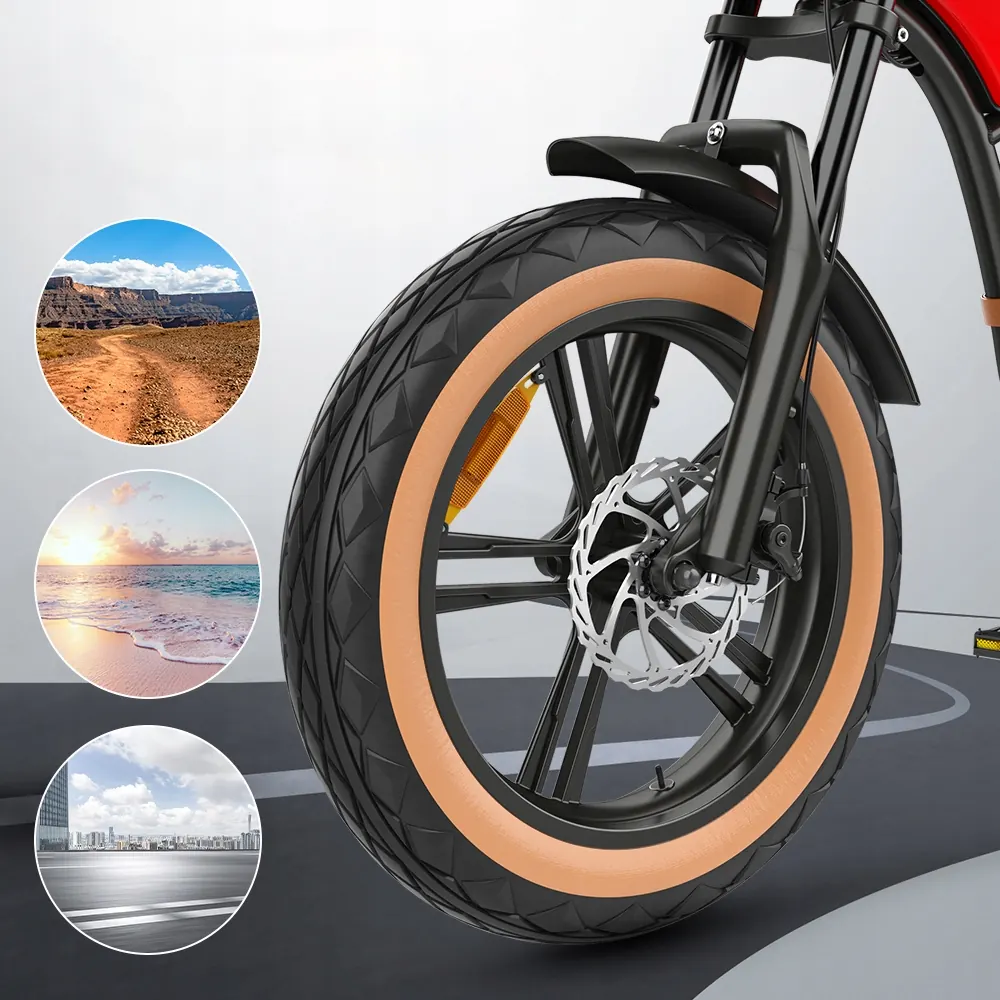 HIDOES B10 Bicicleta Eléctrica Fat Tire image 15