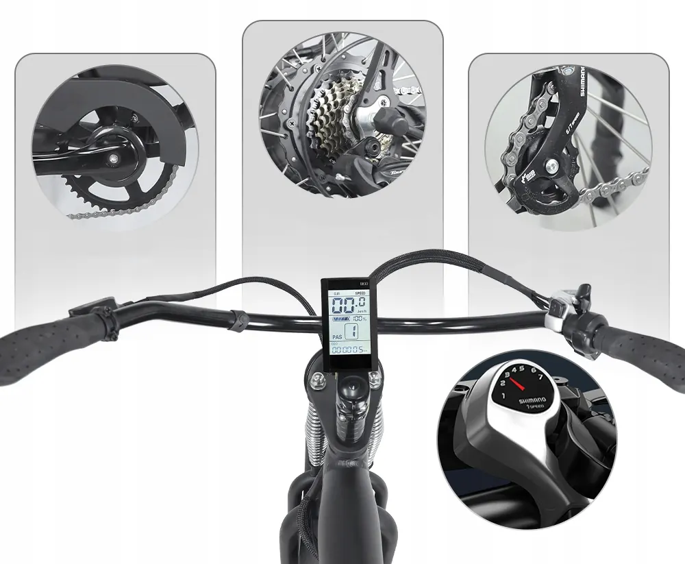 HIDOES B3 Fat Tire Bicicleta Eléctrica image 12