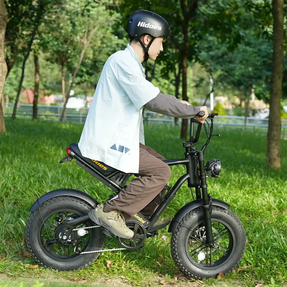 Bicicleta eléctrica Hidoes B6MINI 500W con neumáticos 16x4.0 en vista lateral