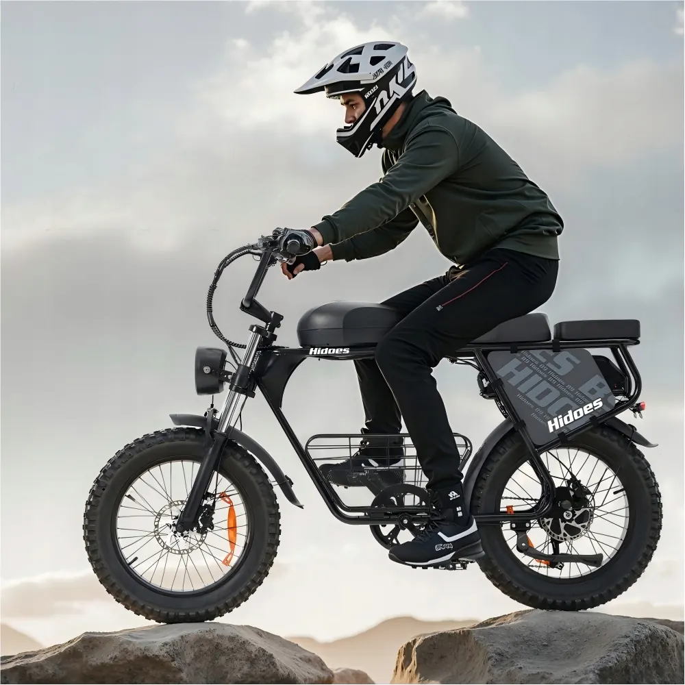 HIDOES B9 Fat Tire Electric Bike image 13