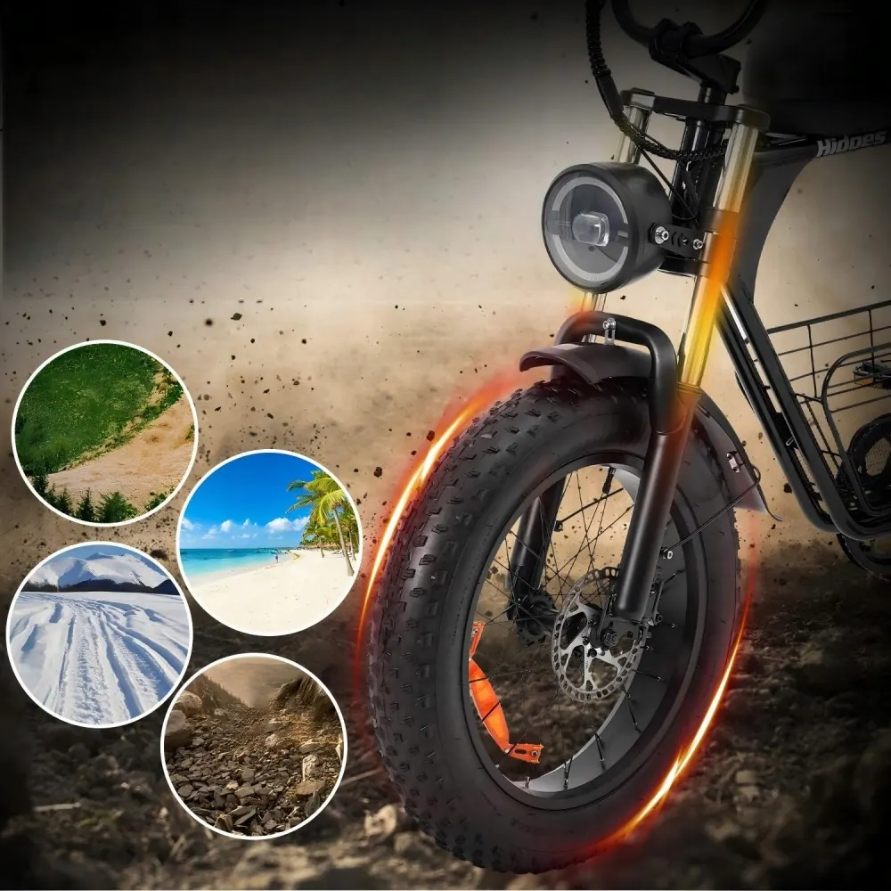 Batería de litio extraíble de 48V para la bicicleta eléctrica Hidoes B9