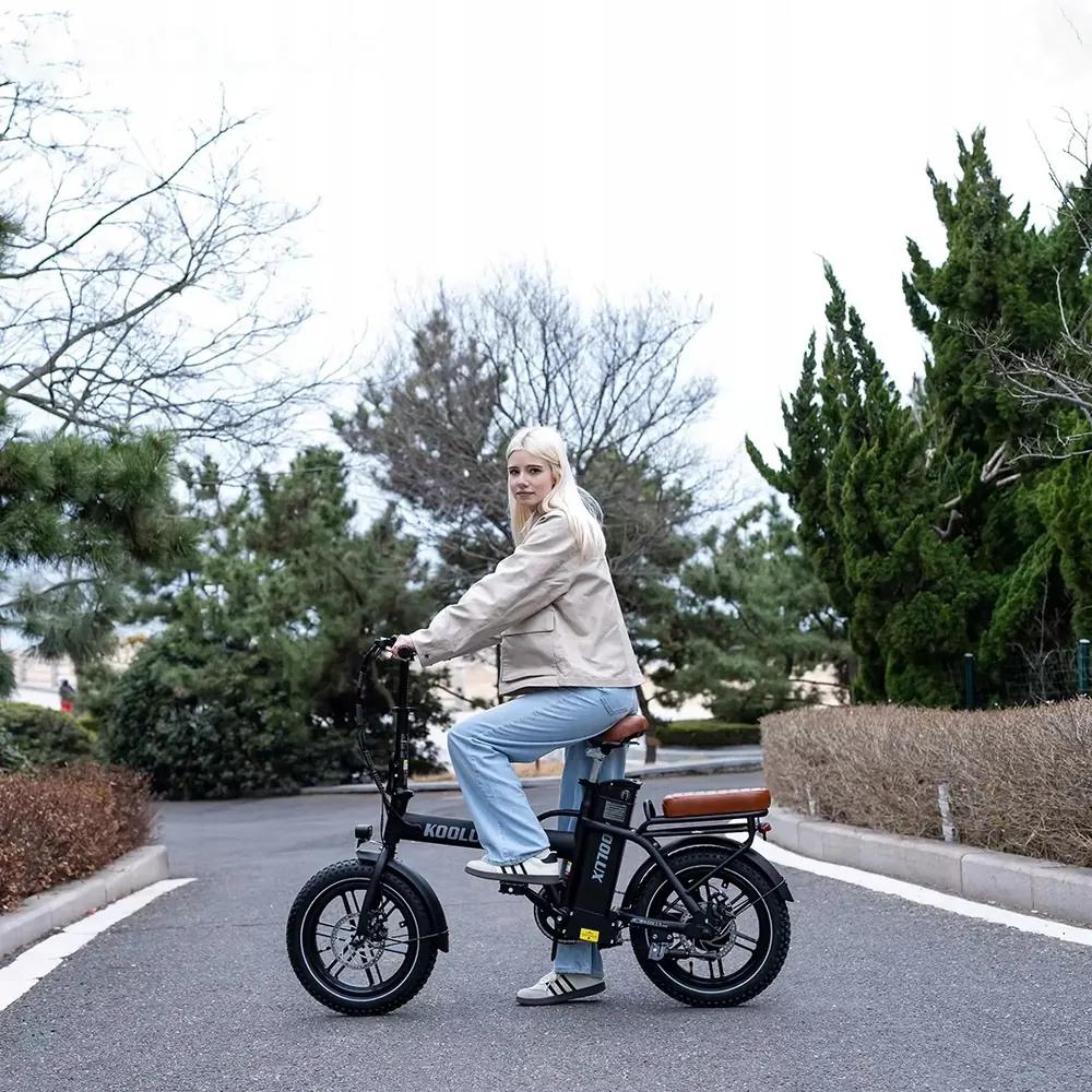 KOOLUX X10 Bicicleta Eléctrica Plegable image 13