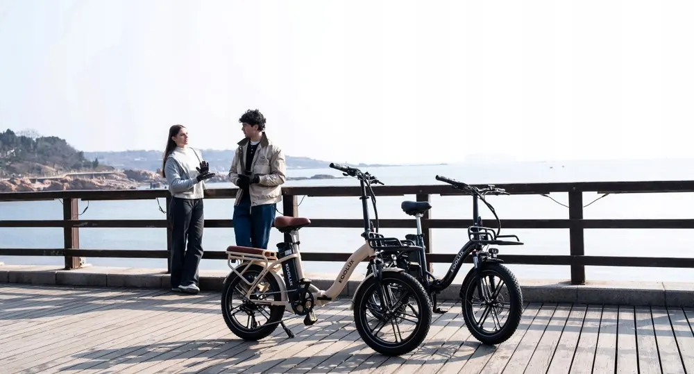 Batería extraíble de la bicicleta eléctrica KOOLUX X16 48V 15.6Ah