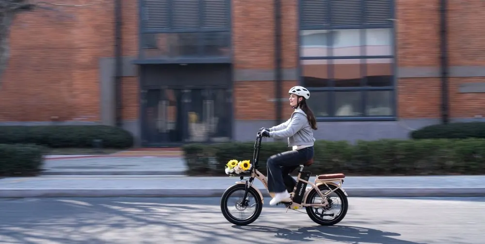 Caja de embalaje de la bicicleta eléctrica plegable KOOLUX X16
