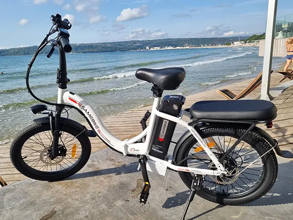 SAMEBIKE CY20 Bicicleta Eléctrica Plegable image 8