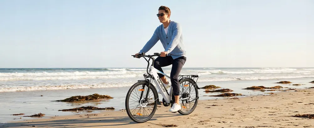 Motor de 250W de la bicicleta eléctrica Varun S700-1