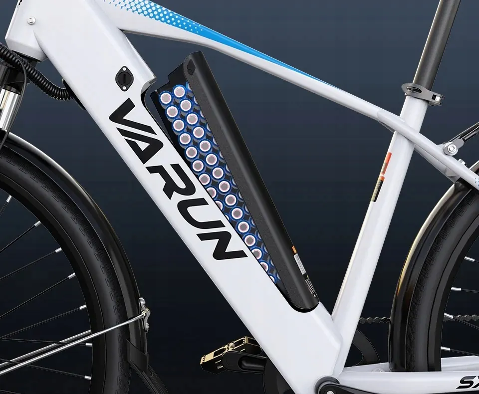 Varun S700-1 bicicleta eléctrica con motor de 250W de potencia nominal