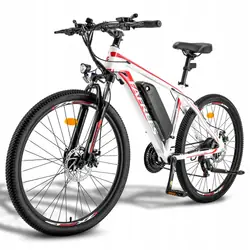 FAFREES 26 Hailong One Bicicleta Eléctrica MTB