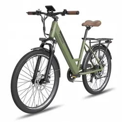 FAFREES F26 Pro Bicicleta Eléctrica MTB