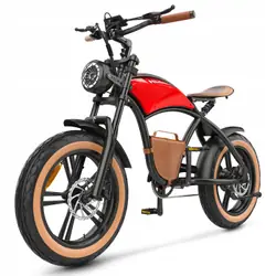 HIDOES B10 Bicicleta Eléctrica Fat Tire