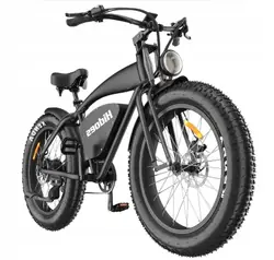 HIDOES B3 Fat Tire Bicicleta Eléctrica