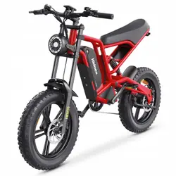 HIDOES B6 Bicicleta Eléctrica