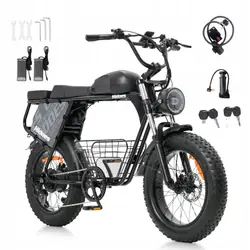 HIDOES B9 Fat Tire Electric Bike