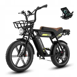 KOOLUX 750W Fat Tire Electric Bike